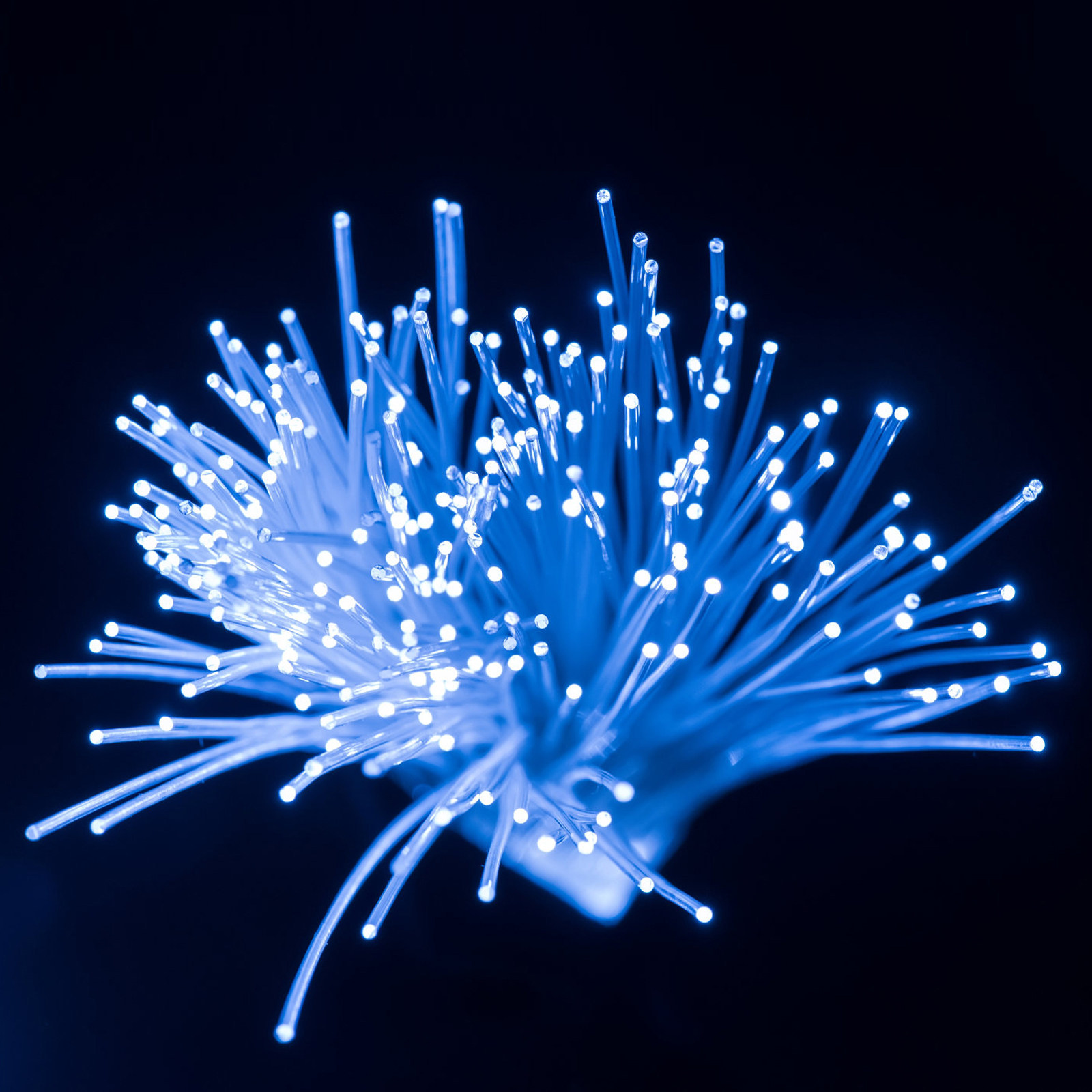 Decor Lighting Fixtures - Fibre optique de guidage de lumière